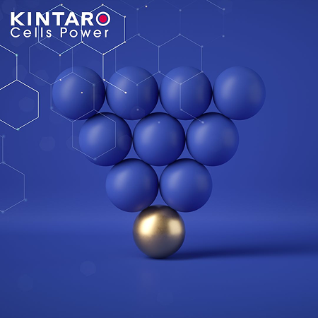470142791_2306397069720485_1633621999915603230_n 470142791 2306397069720485 1633621999915603230 n