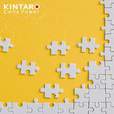 473268719_2327102830983242_1056091654989562268_n 473268719 2327102830983242 1056091654989562268 n